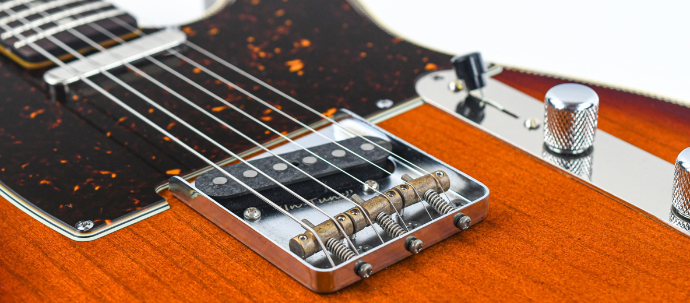 Tonewood Spotlight: Paulownia!