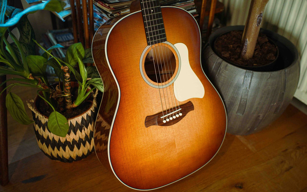 Taylor Guitars' Brand New Gold Label Models | TFOA