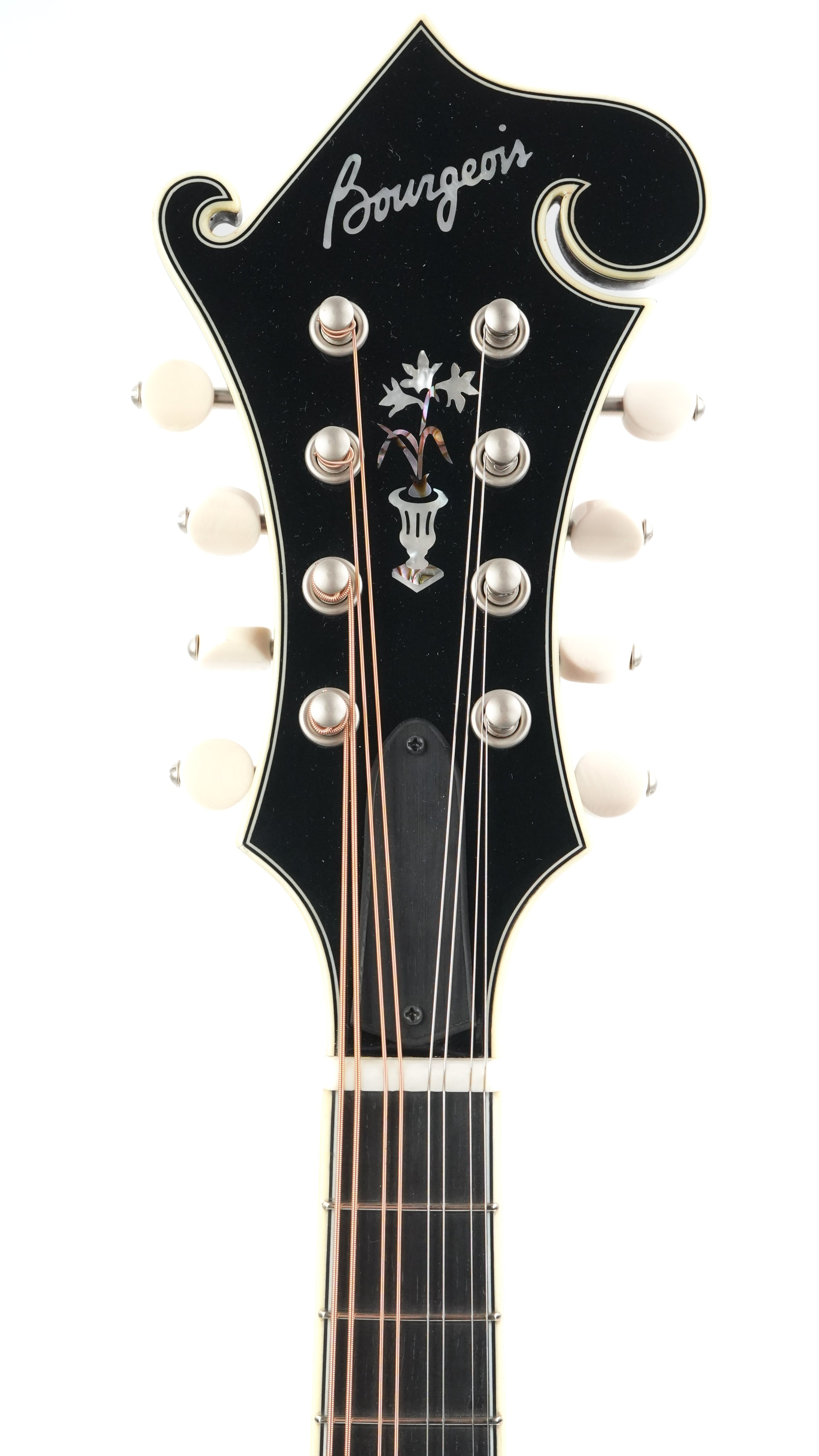 Bourgeois M5F F Style Cordovan Red Ltd.