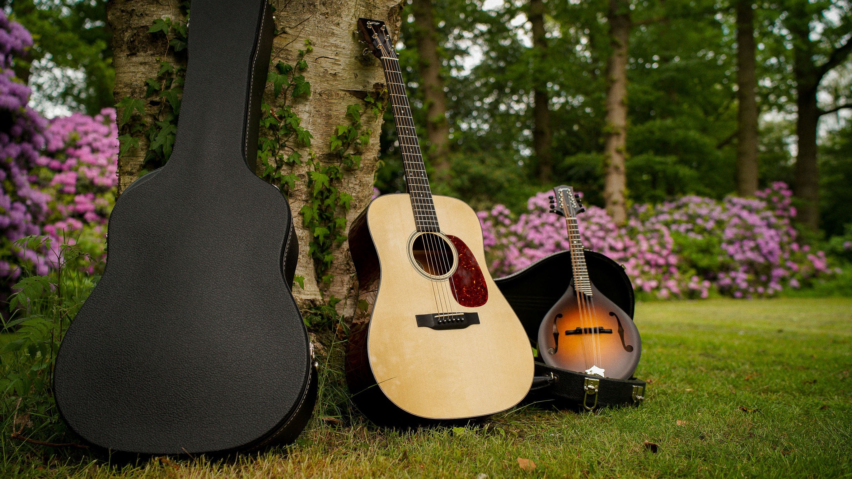 Keeley Halo Andy Timmons Dual Echo | TFOA