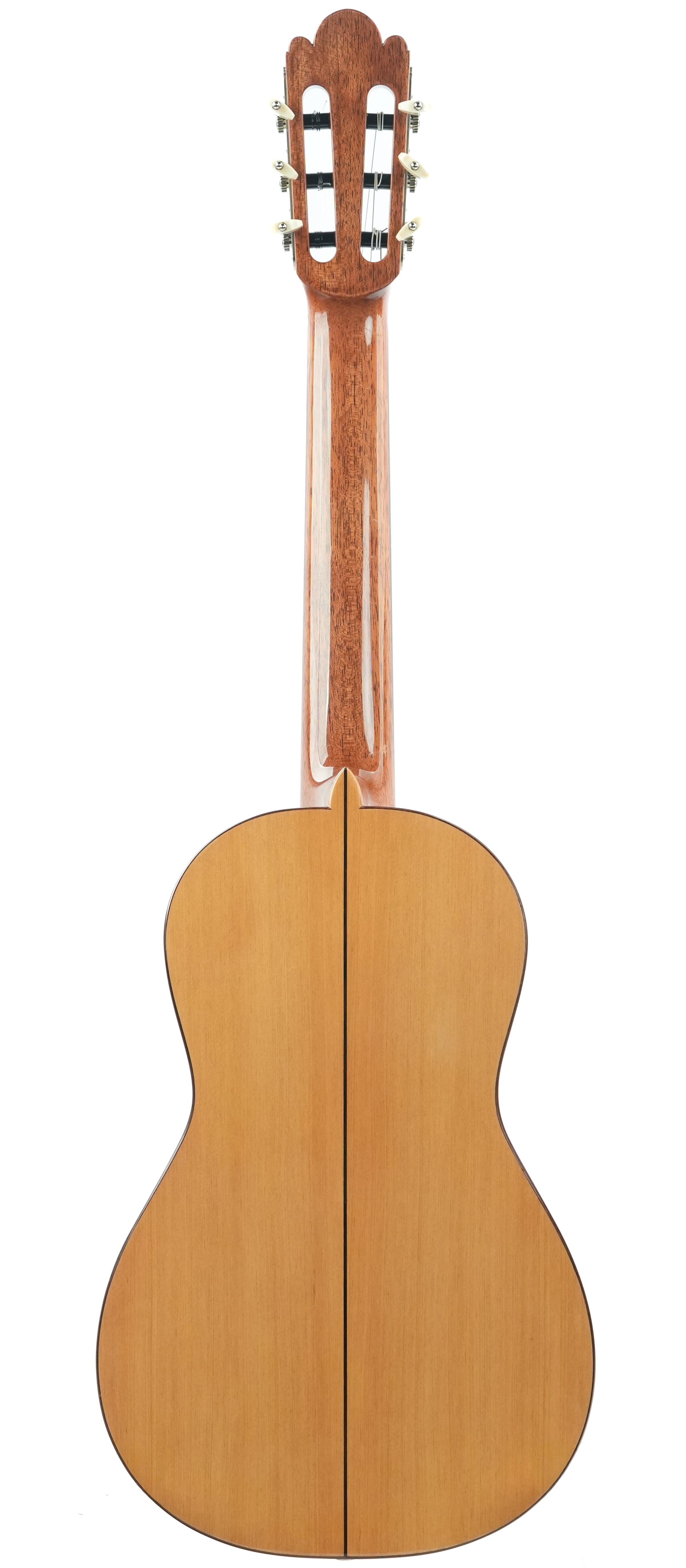 Jelinghaus Torres77 Cypress Moonspruce 2022