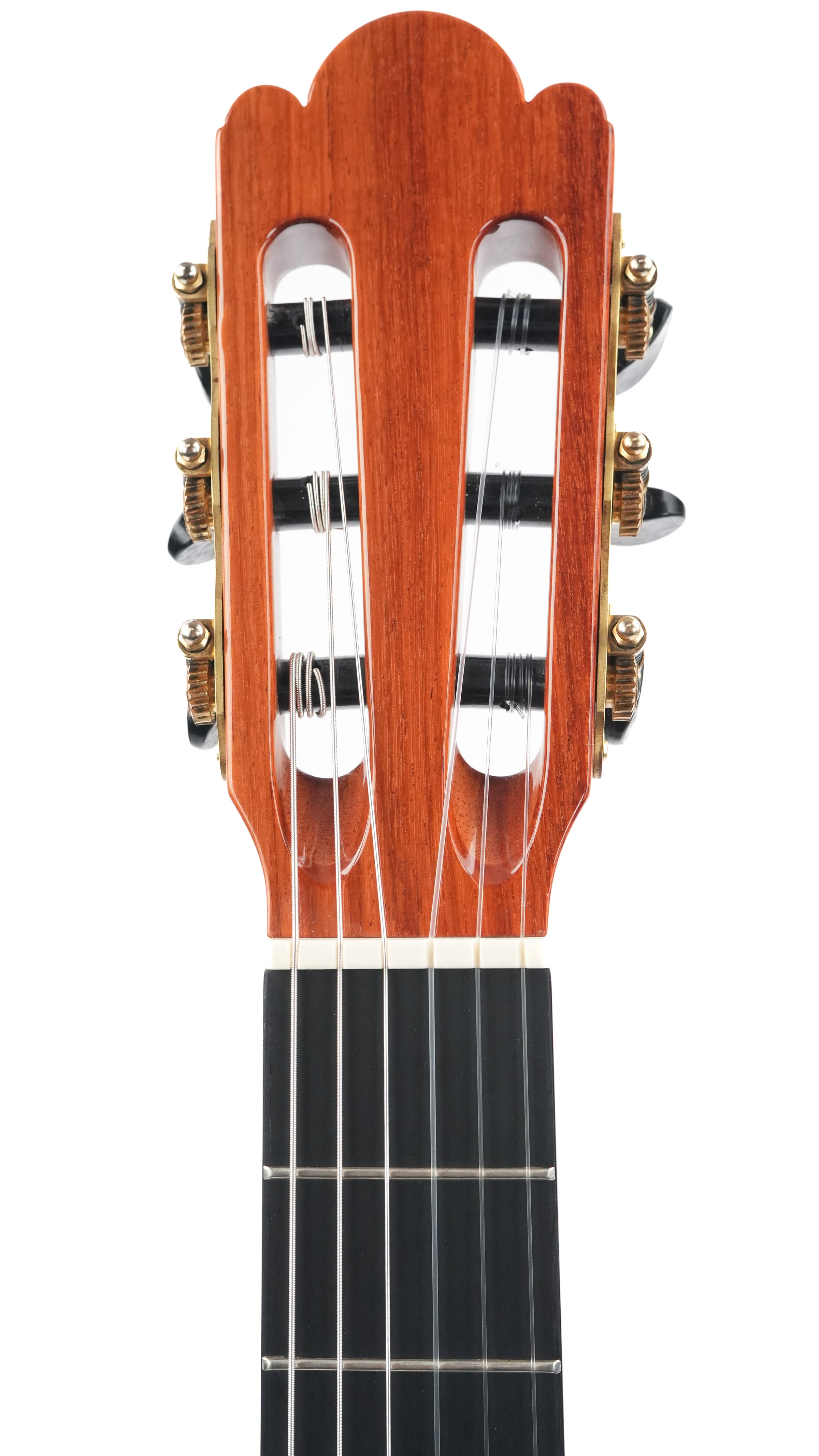 Jellinghaus Master Built Torres77 Spruce Pao Ferro PU