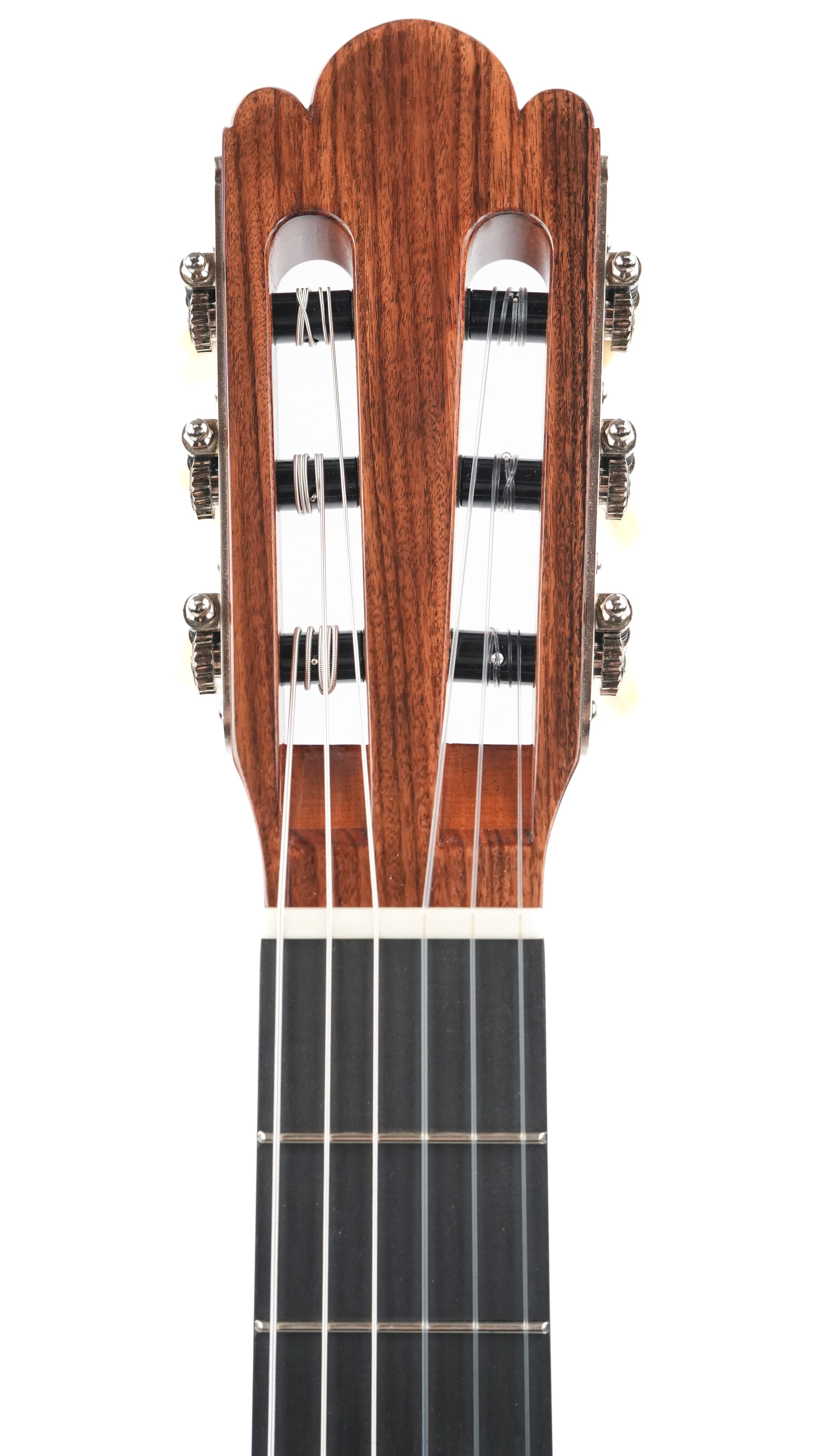 Jellinghaus Master Built Torres77 Spruce Pau Ferro