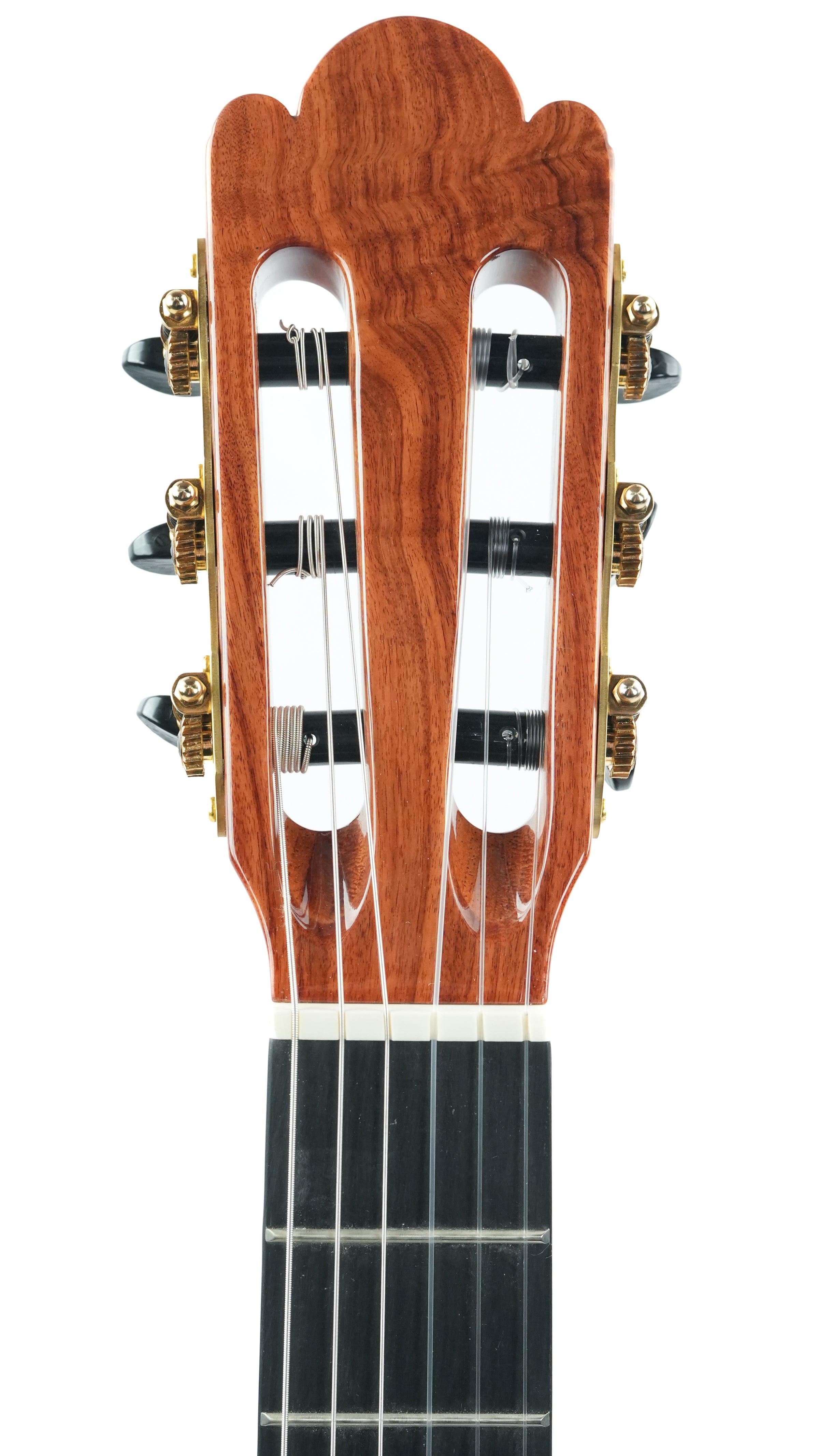 Jellinghaus Master Built Torres77 Spruce Padauk PU