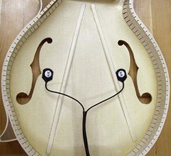 K&K Mandolin Twin Internal Pickup