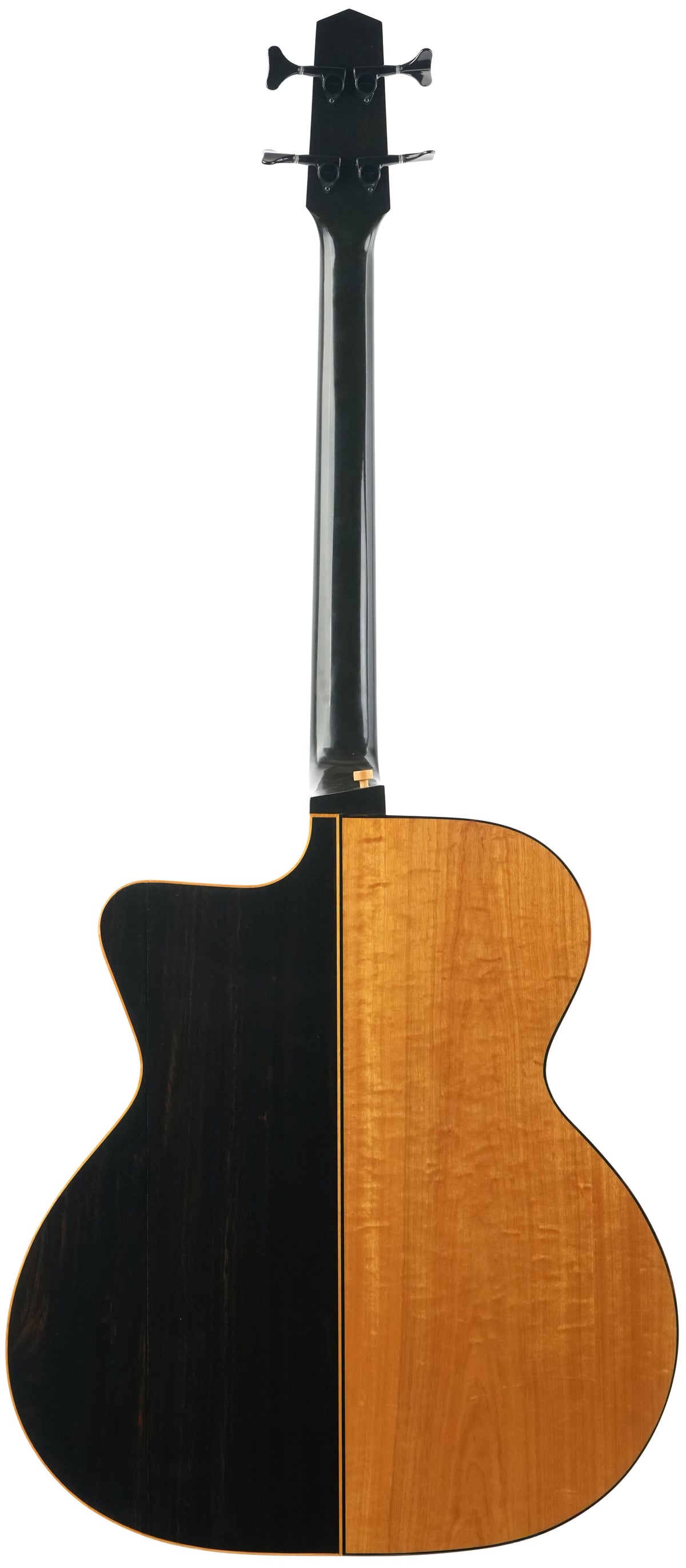 Michael Dunn Gypsy Bass Picasso 2005