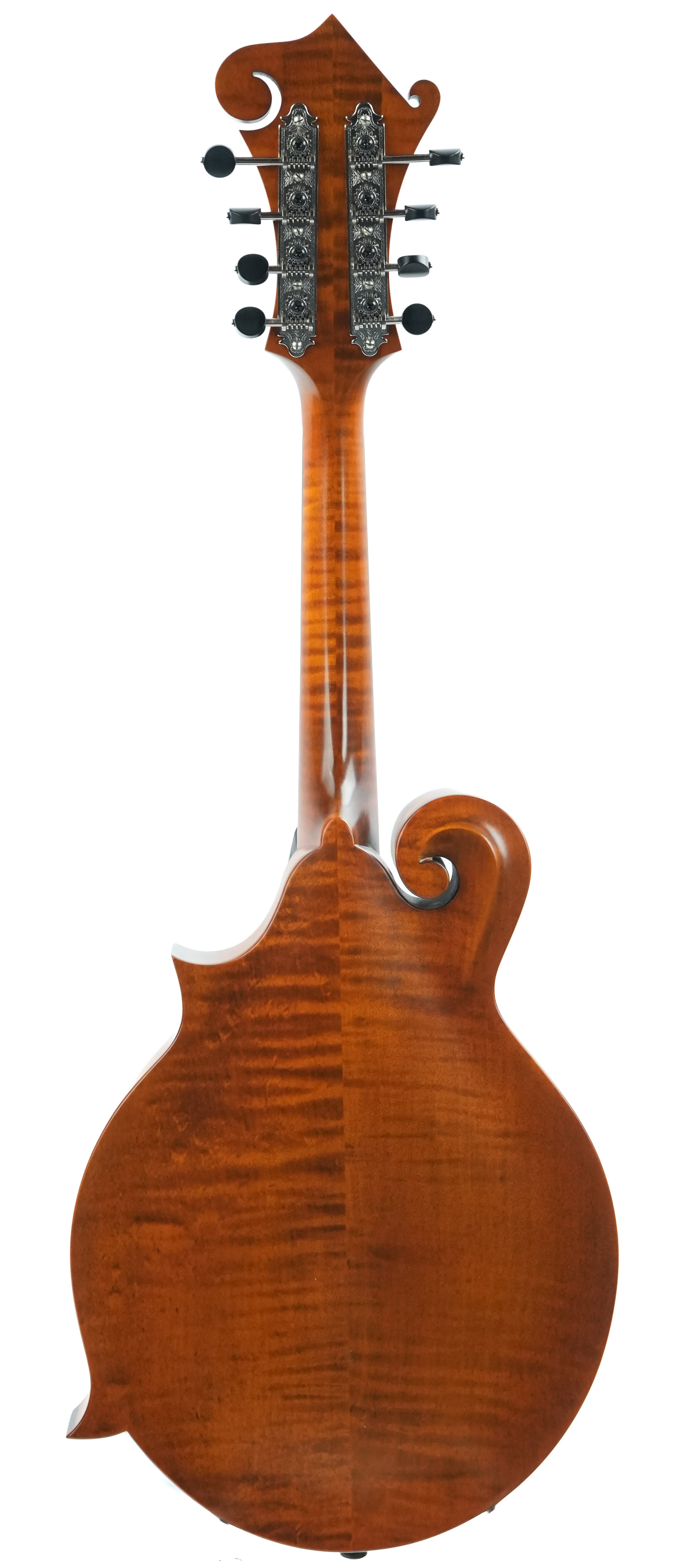 Northfield S Series NFS F5 Red Spruce Figured Maple Amber