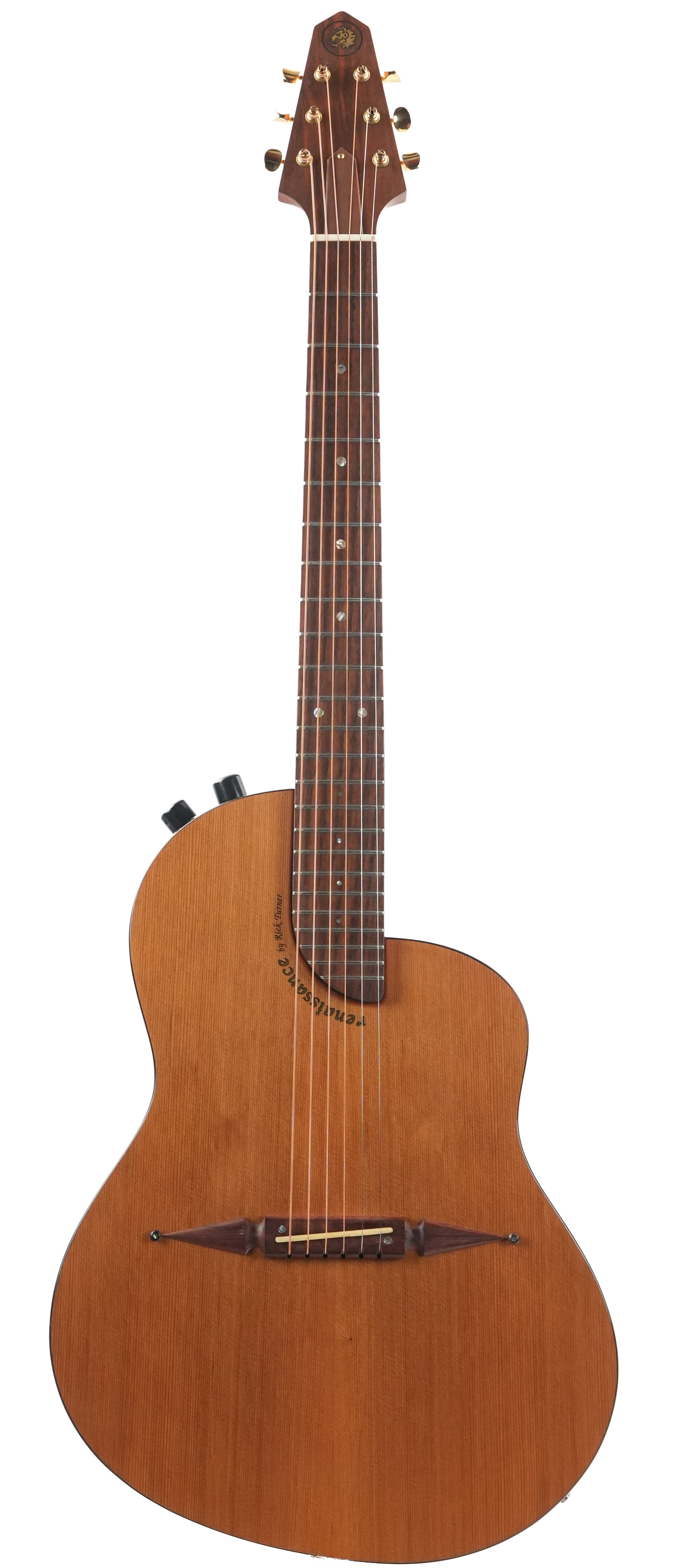 Rick Turner Renaissance Steel RS6 2009 #092662