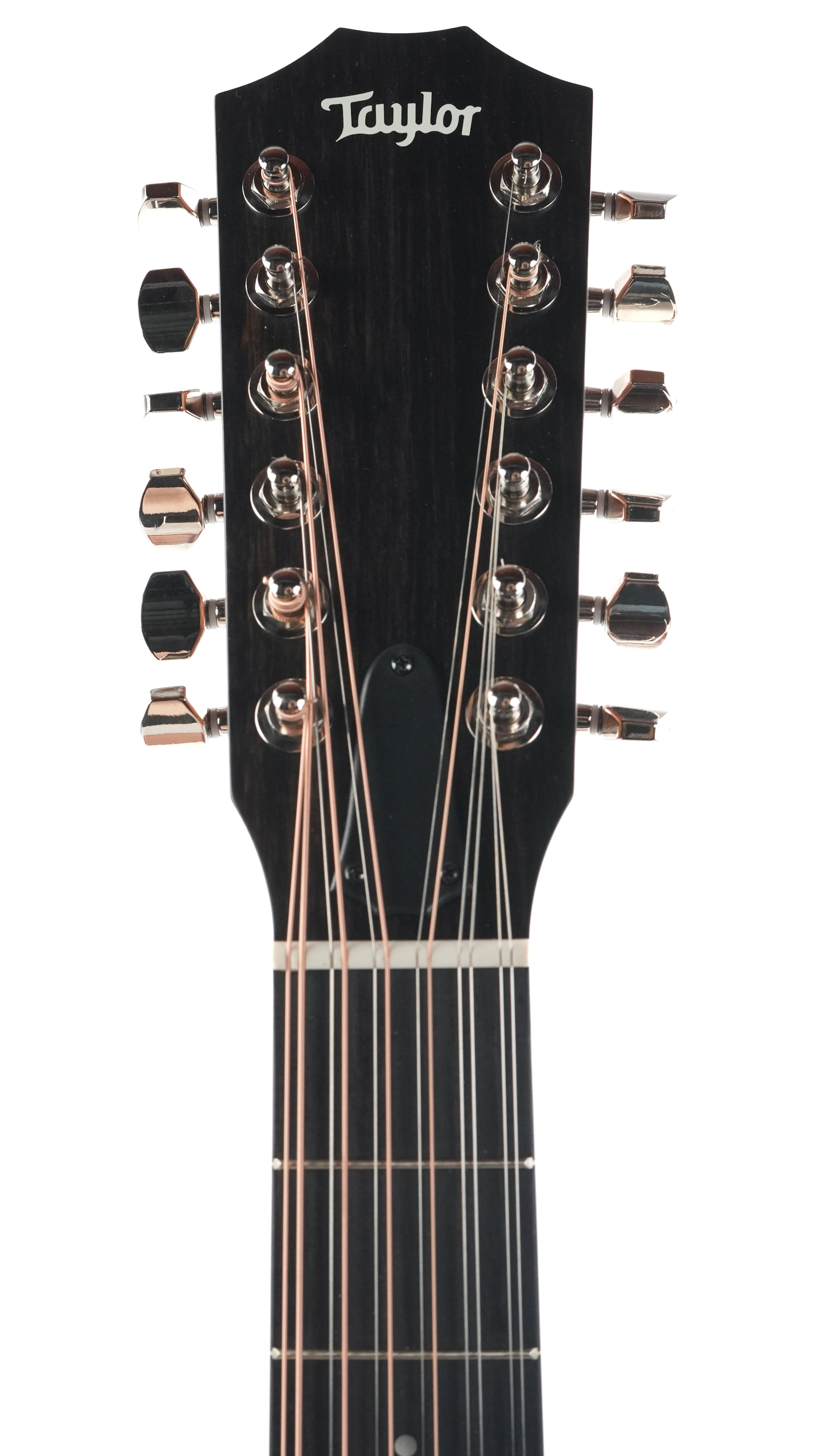 Taylor 354ce Studio Special Edition 12 String Honeyburst