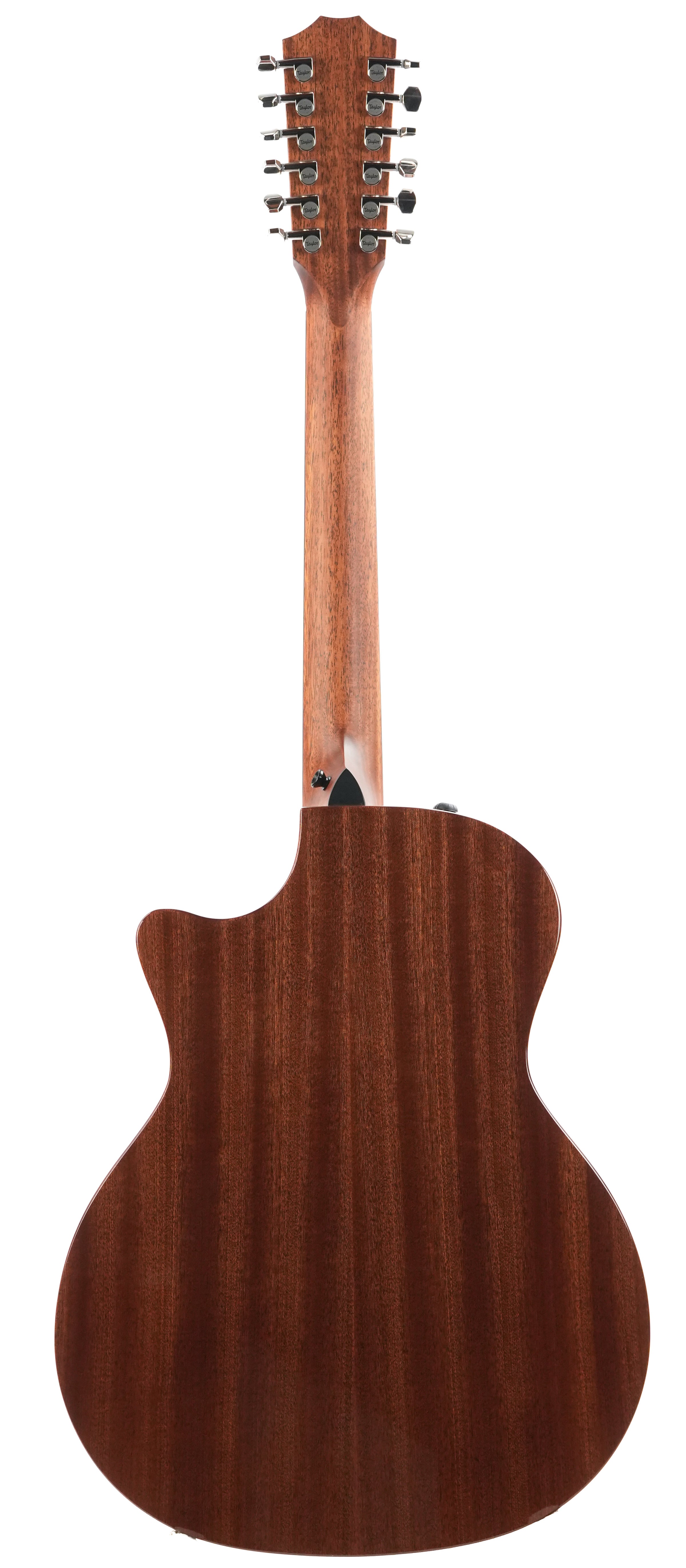 Taylor 354ce Studio Special Edition 12 String Honeyburst