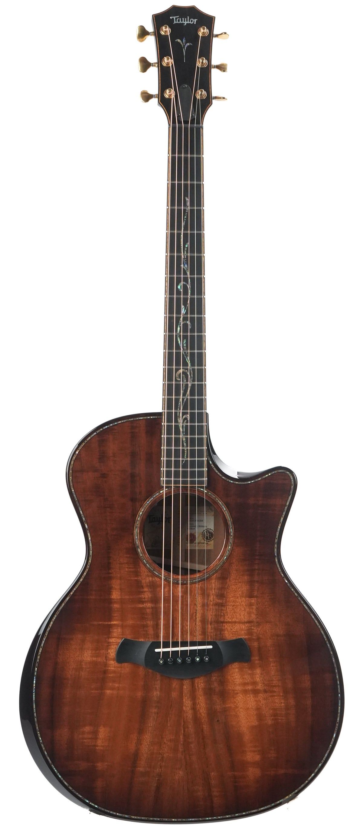 Taylor Builder's Edition K24ce Next Generation