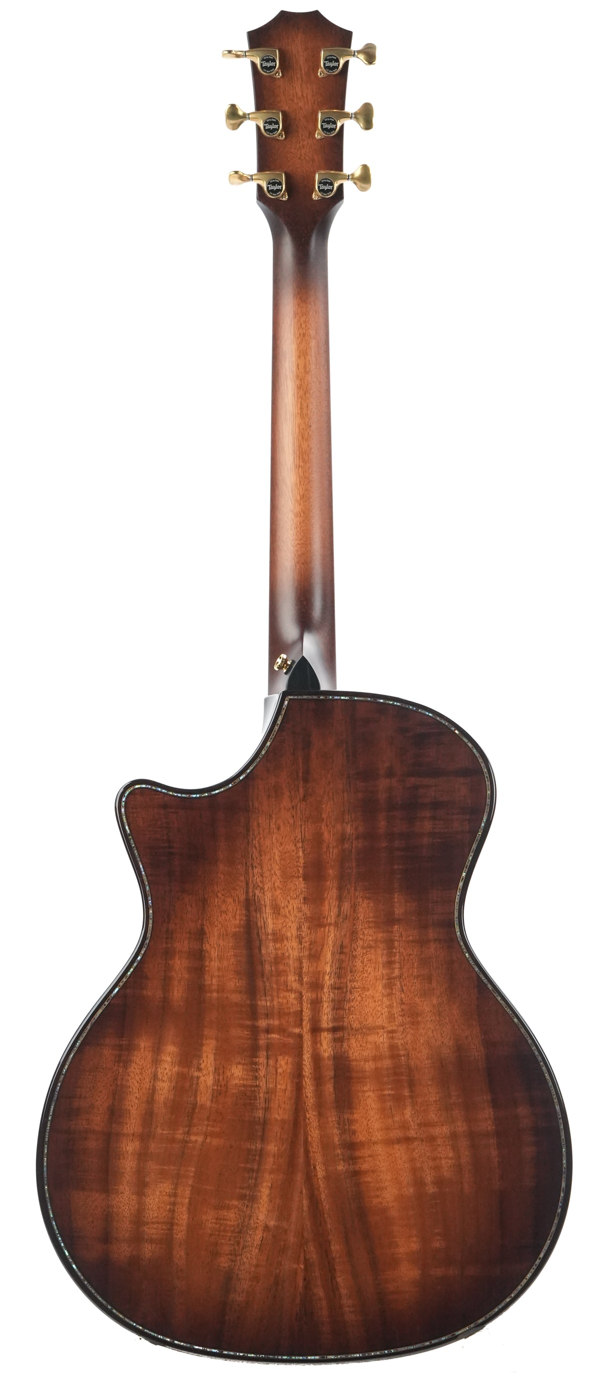 Taylor Builder's Edition K24ce Next Generation