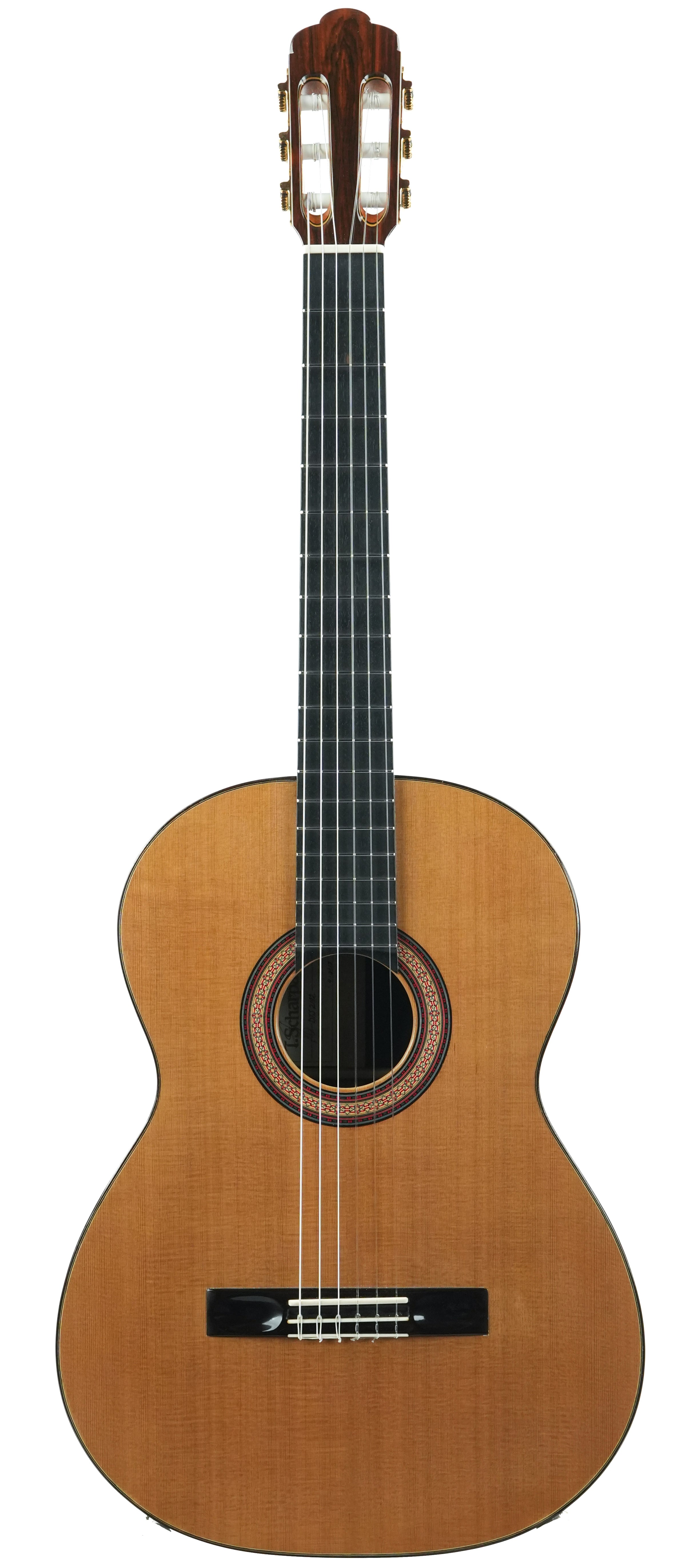Theo Scharpach Concertura Double Top DTS Brazilian Rosewood 2019