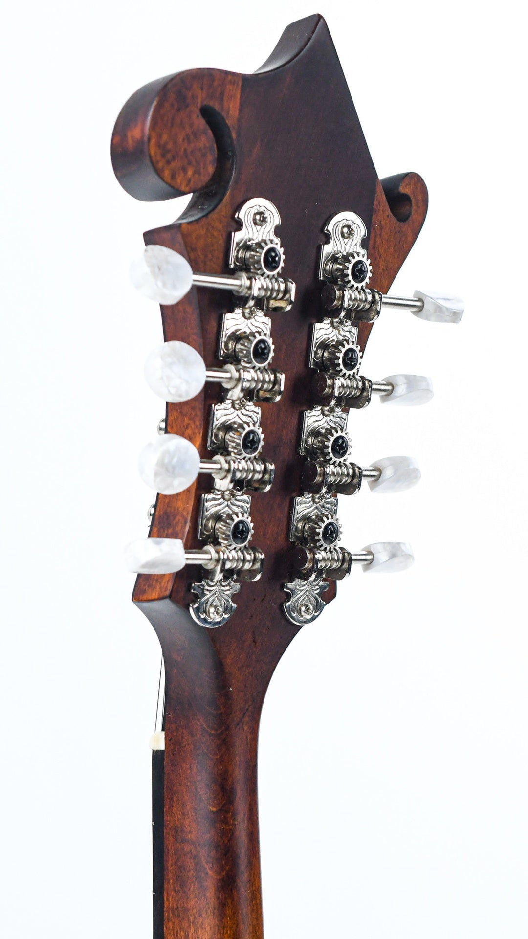 Eastman MD315 F Style - 6