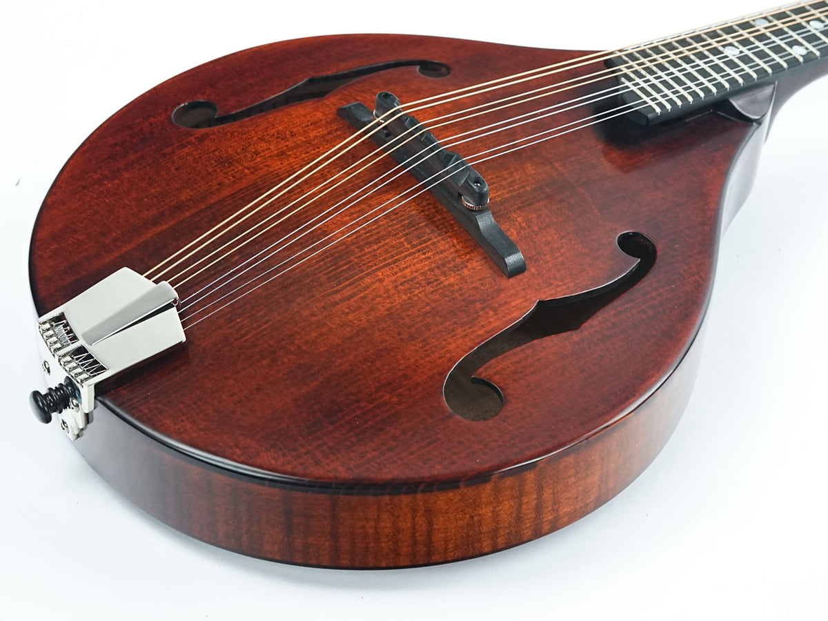 Eastman MD505CC/TV A Style Mandolin - 11