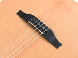Godin ACS Slim Nylon Cedar Natural SG - 7