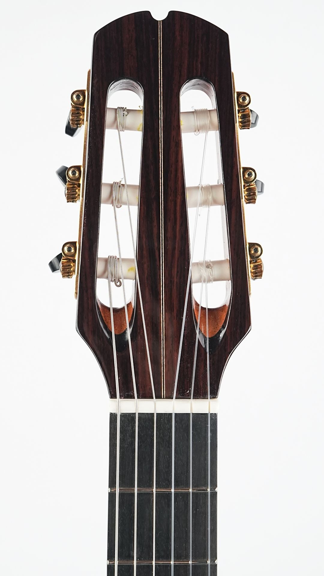 Mach Crossover Spruce Rosewood Bevel