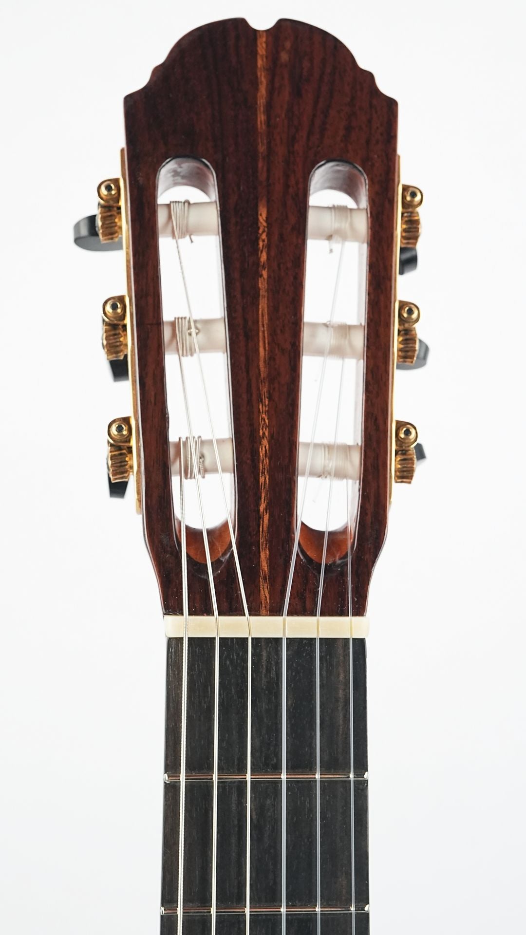 Mach Concert Double Top Spruce Rosewood