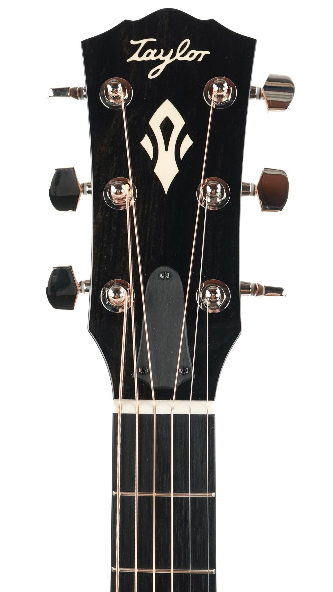 Taylor Gold Label 710e Natural