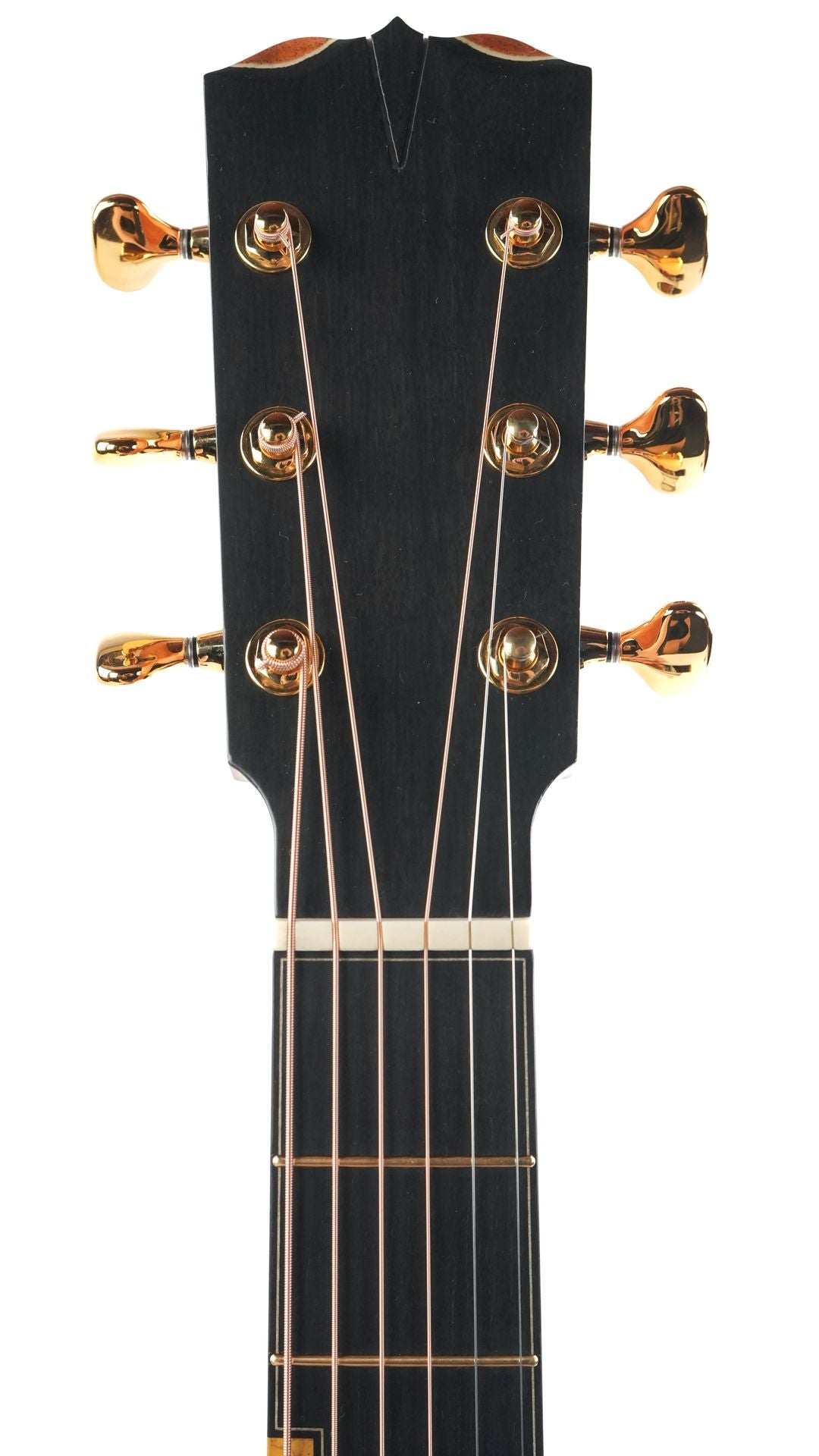 Turnstone TG Ancient Black Oak German Spruce 2024