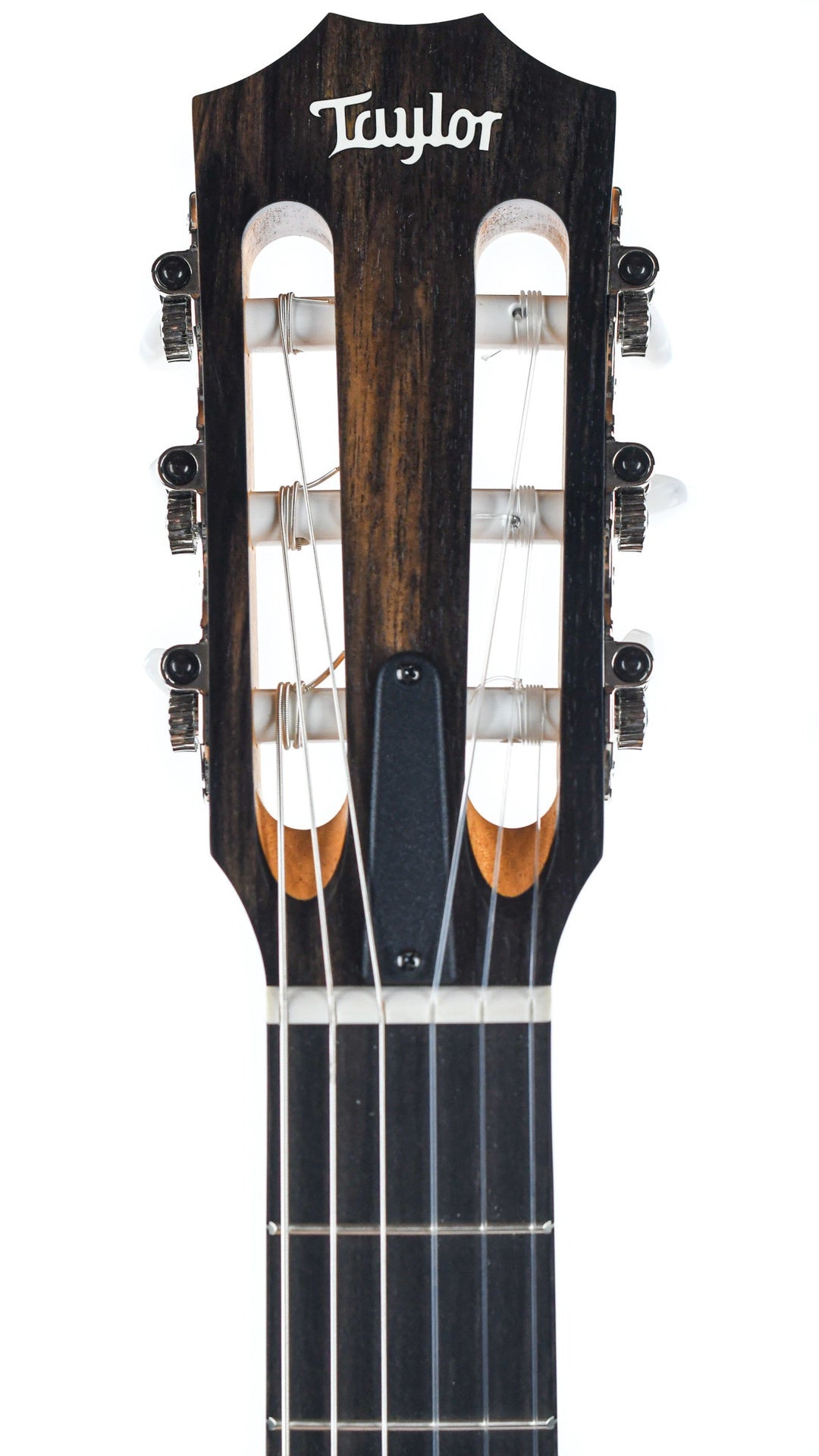 Taylor 214ce-N Nylon
