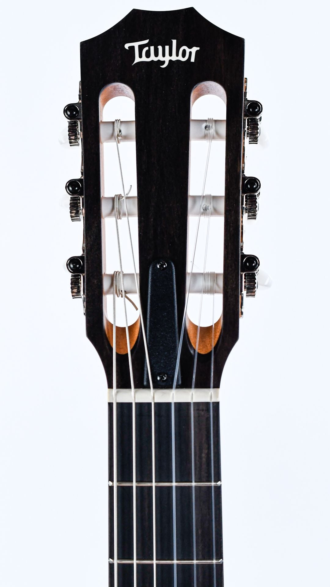 Taylor 112ce-N Nylon