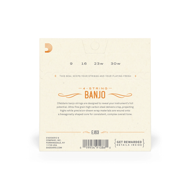 D'Addario EJ63 Tenor Banjo Nickel 9-30