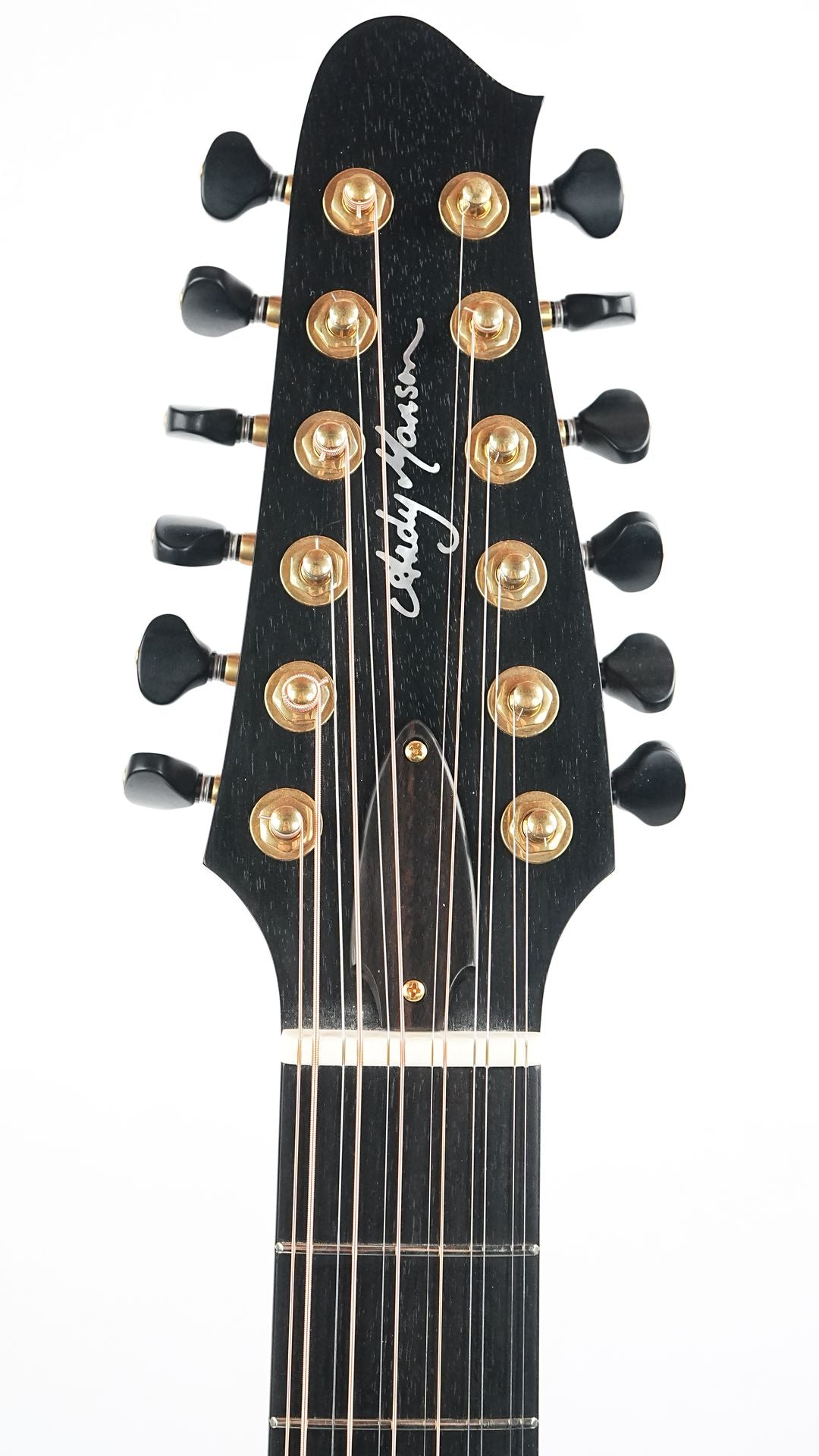 Andy Manson 12 String Madagascar Rosewood Alpine Spruce