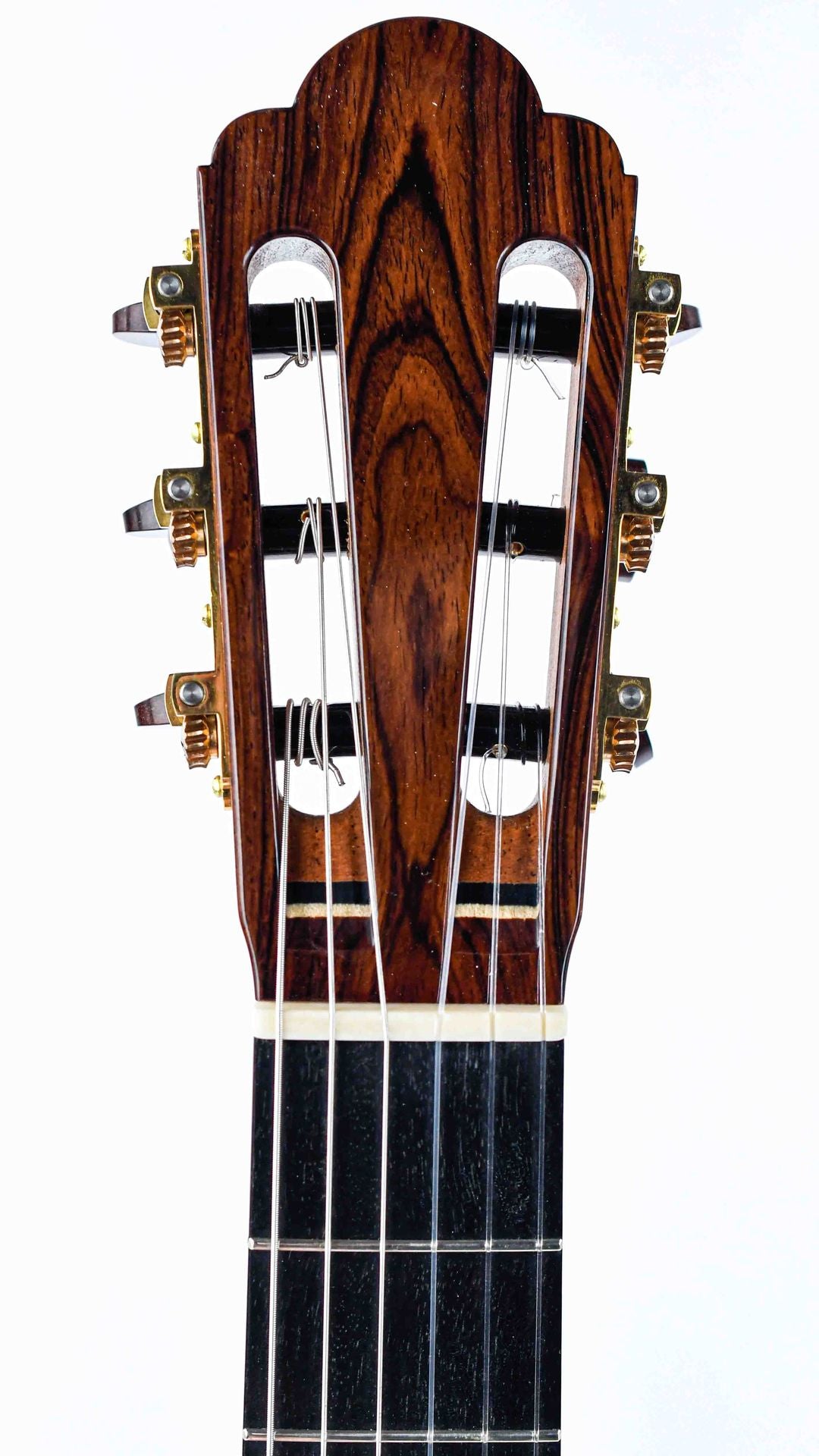 Menno Bos Torres Cocobolo Spruce 2019