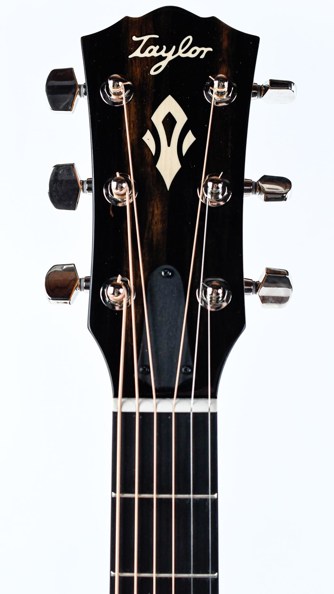 Taylor Gold Label 517e Mahogany Sunburst - 2