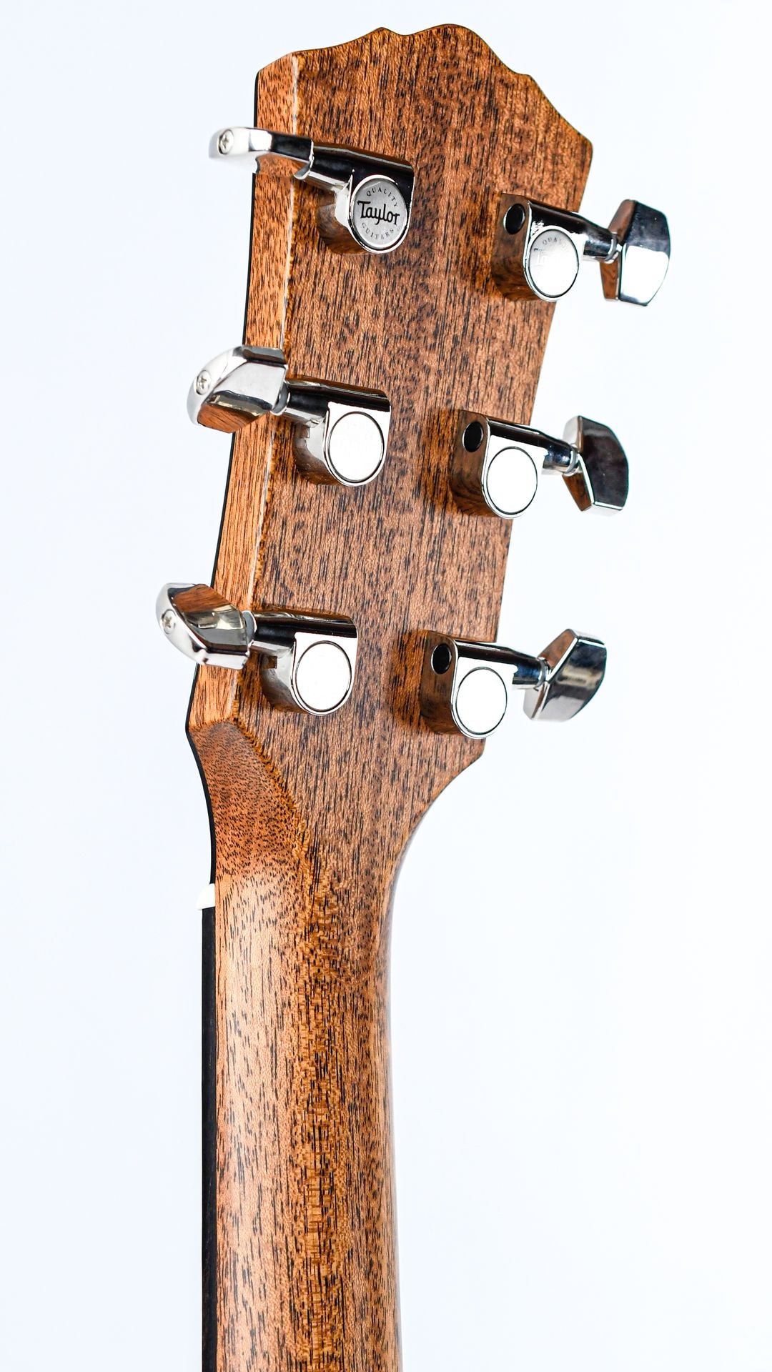 Taylor Gold Label 517e Mahogany Sunburst - 6