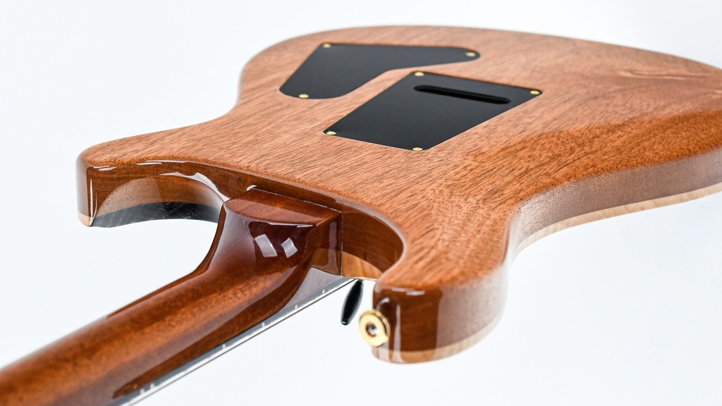 PRS Custom 24 Charcoal Paua Birds Lefty-10.jpg