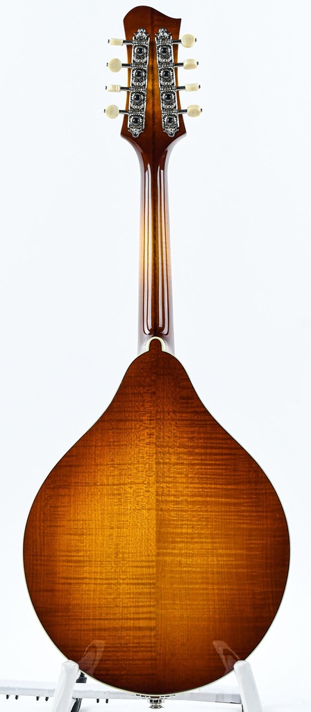 Eastman MD605 Goldburst-7.jpg