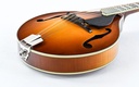 Eastman MD605 Goldburst-11.jpg
