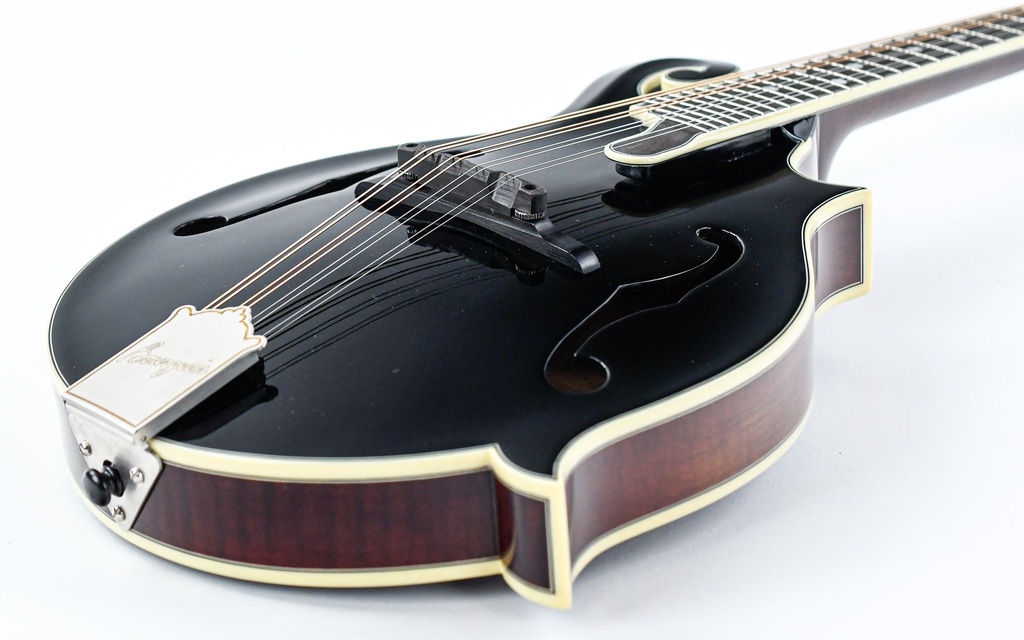 Bourgeois M5F Blacktop F Style Mandolin-11.jpg