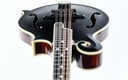 Bourgeois M5F Blacktop F Style Mandolin-14.jpg