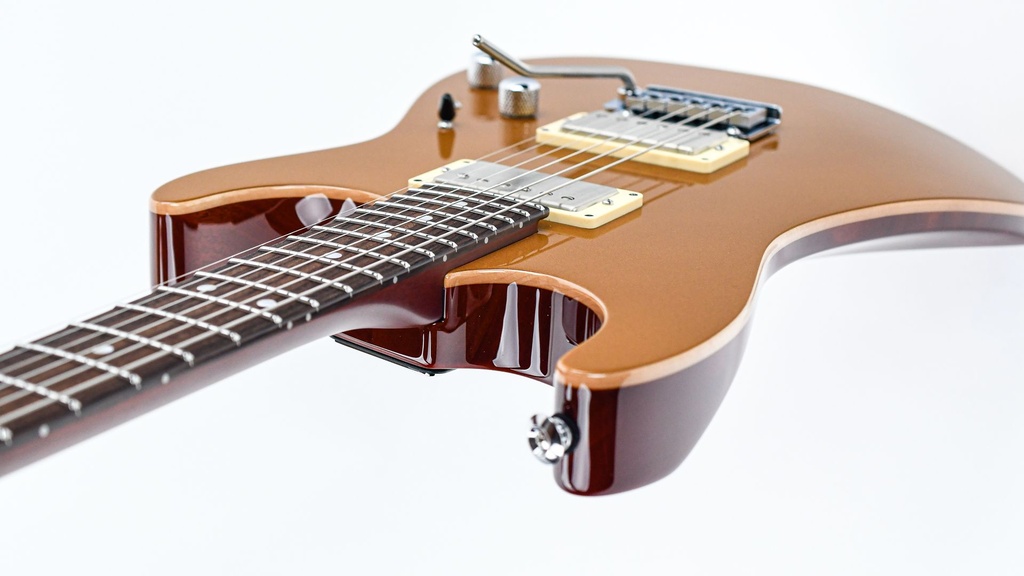 Suhr Pete Thorn Signature SS Standard Vintage Gold-8.jpg