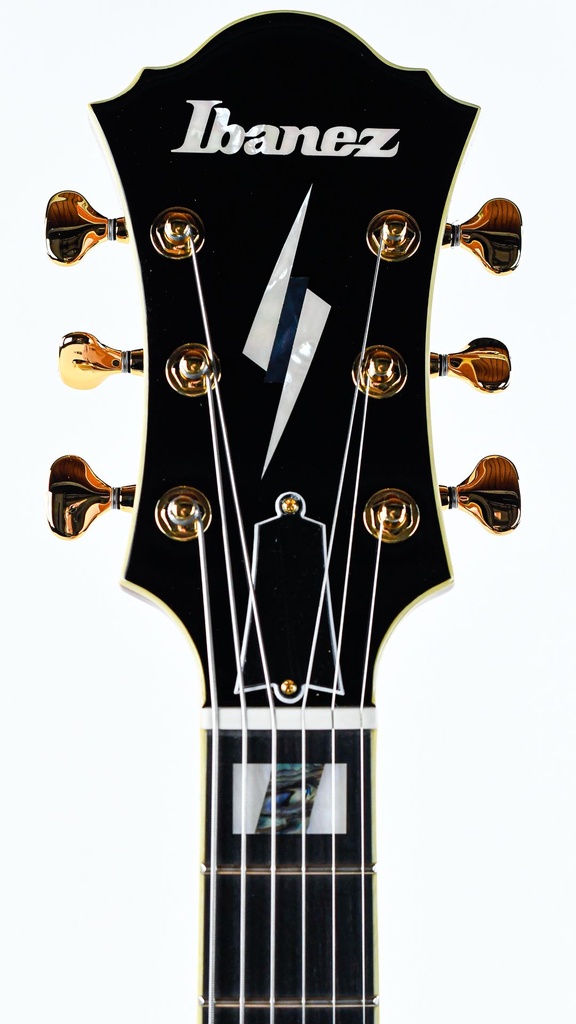 Ibanez PM200 Pat Metheny Natural-4.jpg