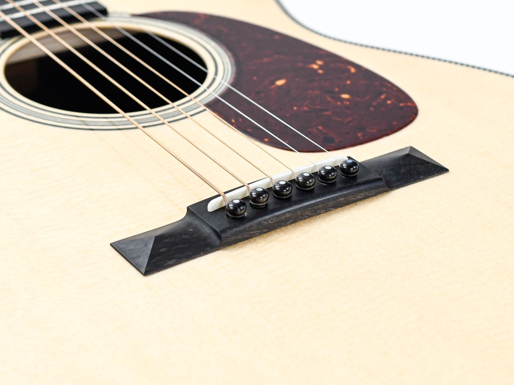 Collings 0002H-10.jpg