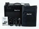 Bad Cat Jet Black 1x12 Combo-1.jpg