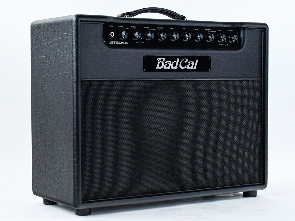 Bad Cat Jet Black 1x12 Combo-6.jpg