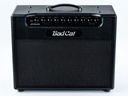 Bad Cat Jet Black 1x12 Combo-2.jpg