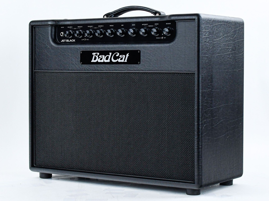 Bad Cat Jet Black 1x12 Combo-7.jpg