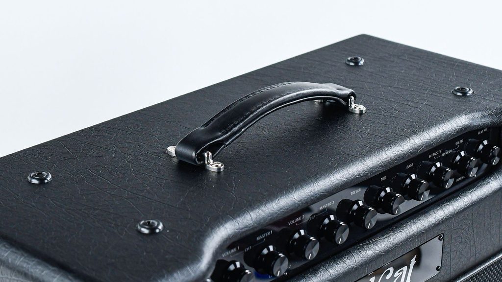 Bad Cat Jet Black 1x12 Combo-5.jpg