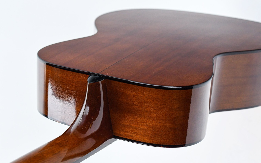 Atkin Essential O 14 fret-9.jpg