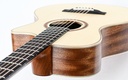 Lakewood A14CP Mahogany Cedar-8.jpg
