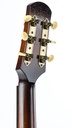 Iris DF Model Sunburst Heavy Aged-5.jpg