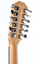 Taylor 150ce 12 String-5.jpg