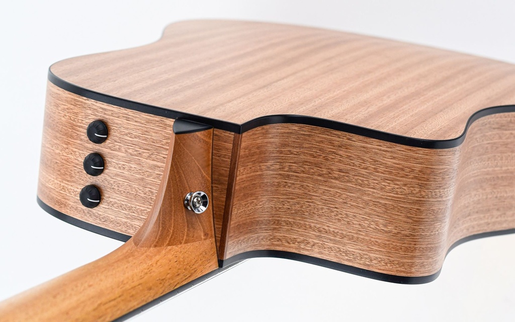 Taylor 150ce 12 String-9.jpg