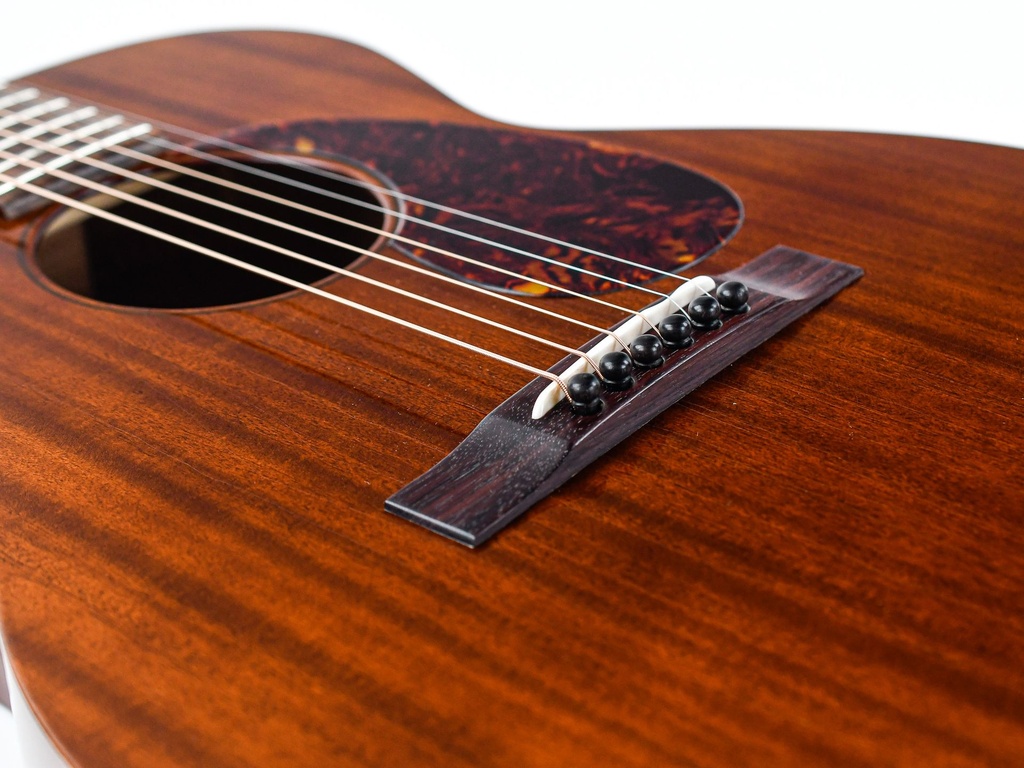 Atkin Dust Bowl O 14 Fret-10.jpg